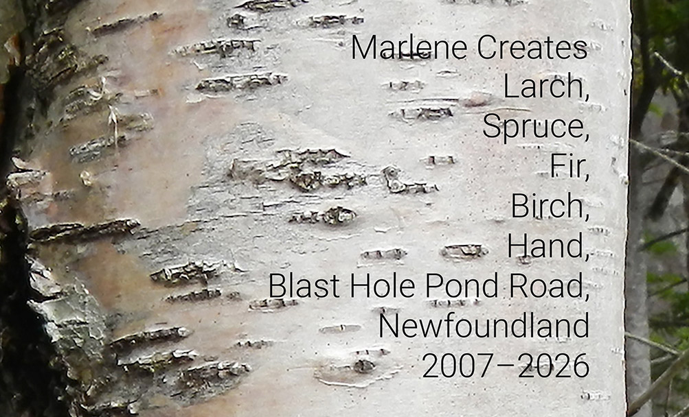 Marlene Creates: Larch, Spruce, Fir, Birch, Hand, Blast Hole Pond Road, Newfoundland 2007-2026